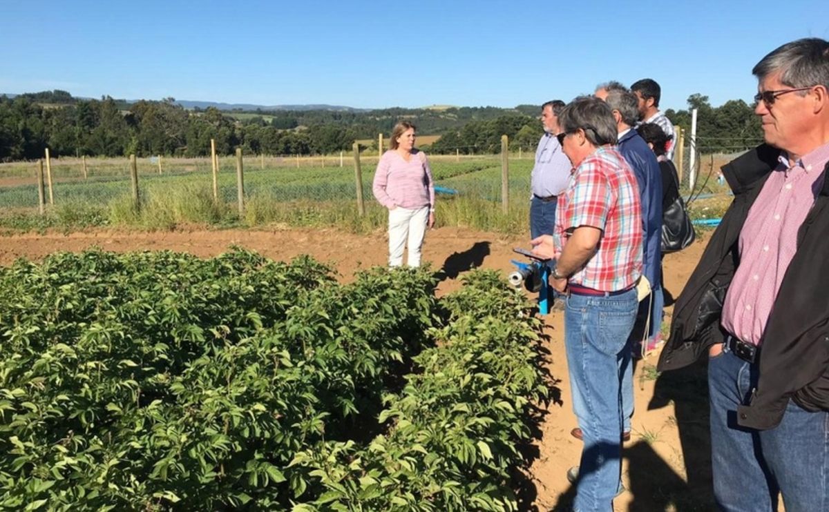 Programa GORE-INIA: ejemplo de colaboración público privada