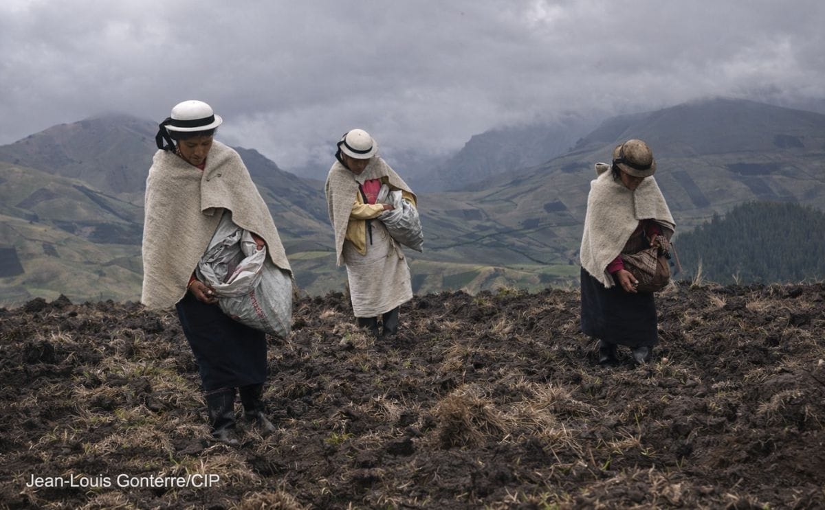 Programa preliminar del Congreso Mundial de la Papa