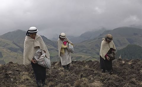 Programa preliminar del Congreso Mundial de la Papa Programa preliminar del Congreso Mundial de la Papa