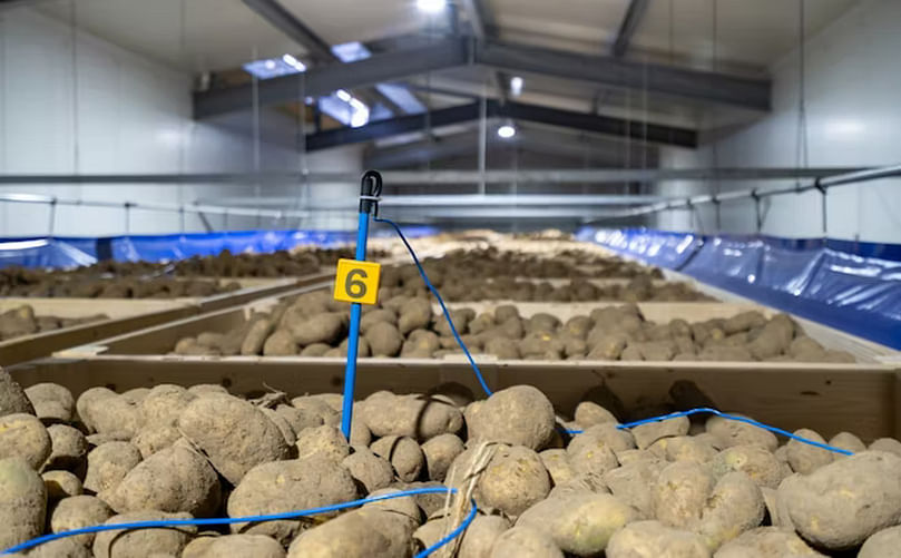 Mechanical cooling is becoming increasingly important for potato growers and store managers, due to the disappearance of sprout inhibitors (CIPC)