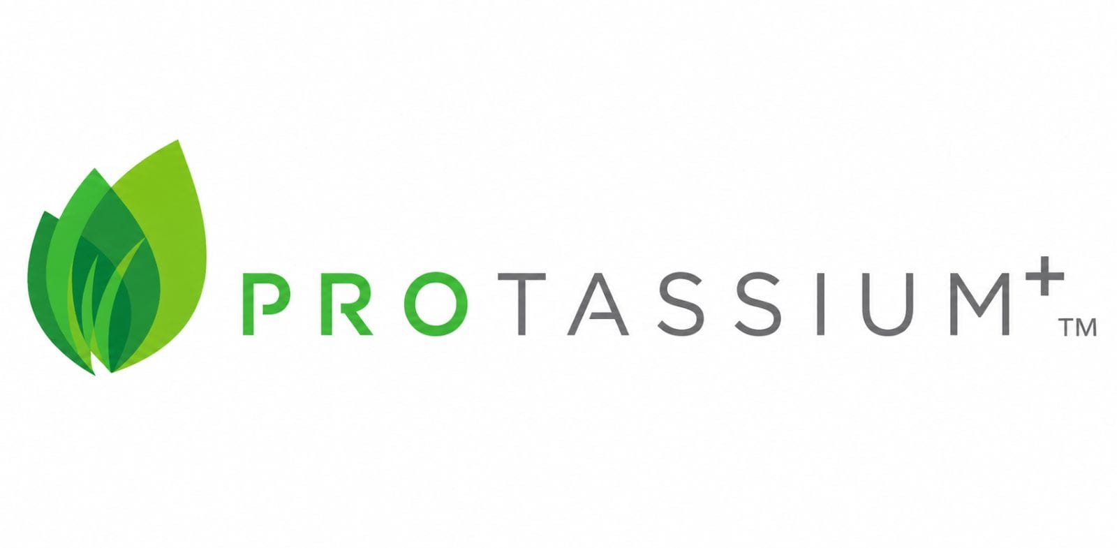 Protassium+