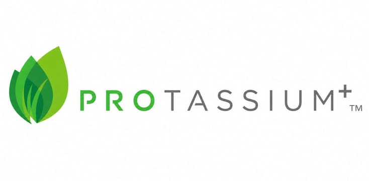 Protassium+