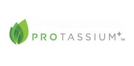Protassium+