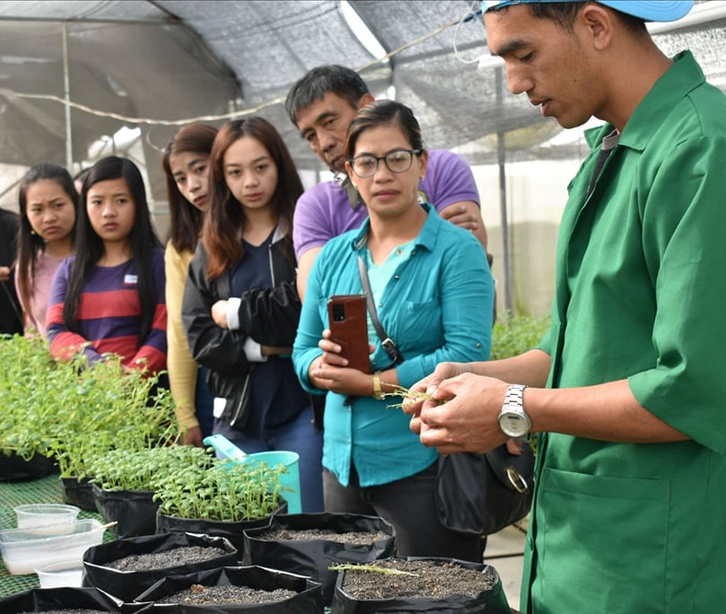 Empowering Agriculture: Enhancing Planting Material Quality and Farmer Training through a Collaborative Partnership Among the NPRCRTC, the Department of Agriculture, the Department of Science and Technology, and Local Governments Empowering Agriculture: Enhancing Planting Material Quality and Farmer Training through a Collaborative Partnership Among the NPRCRTC, the Department of Agriculture, the Department of Science and Technology, and Local Governments