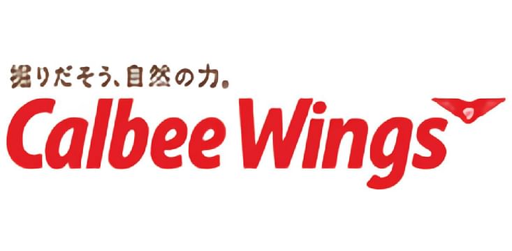PT Calbee Wings Food