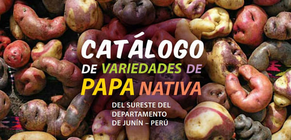 Publican en Perú un catálogo de variedades de papa nativa