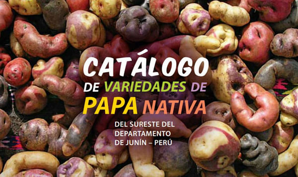 Publican en Perú un catálogo de variedades de papa nativa
