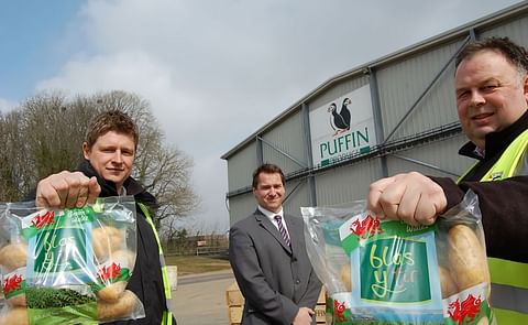 West Wales potato supplier Puffin Produce to ramp up production following major investment West Wales potato supplier Puffin Produce to ramp up production following major investment