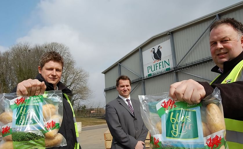 West Wales potato supplier Puffin Produce to ramp up production following major investment