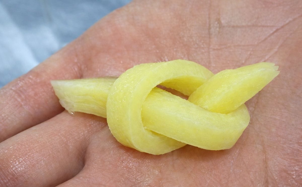 Pulsemaster komt met nieuwe generatie PEF-technologie voor aardappelverwerking