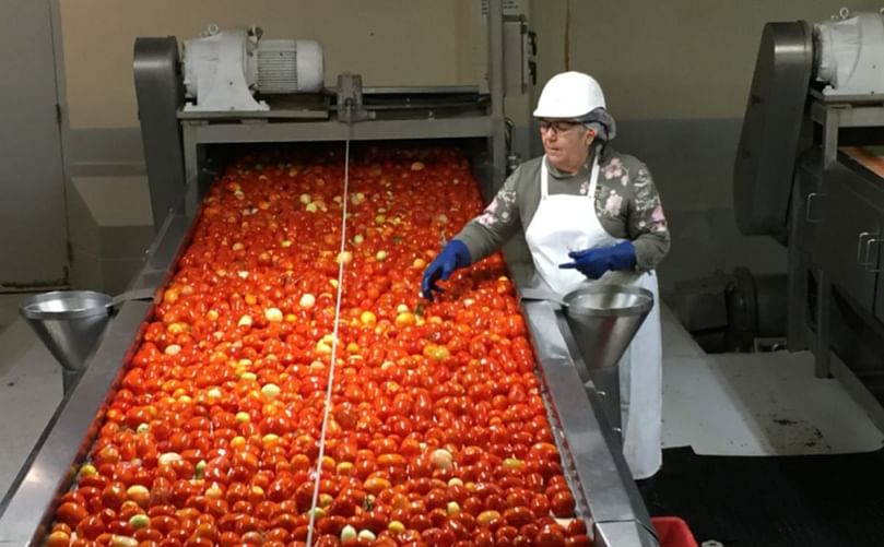 Pulsemaster’s PEF for processing tomatoes