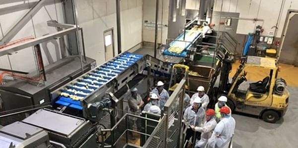 McCain Foods Tasmania installs Pulsemaster PEF-tech innovation, reduces water use by more than 100,000 litres per day