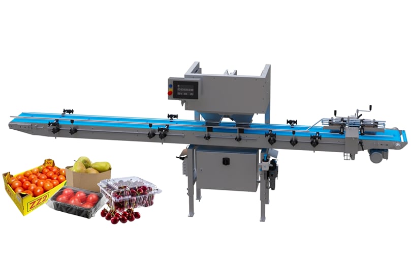 Punnet Filler en verpakkingen Punnet Filler en verpakkingen