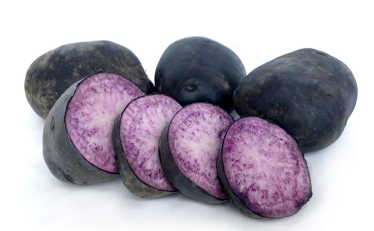 PURPLE HEART PURPLE HEART