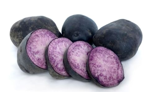 PURPLE HEART PURPLE HEART