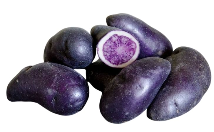 PURPLE MAGIC PURPLE MAGIC