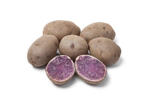 Purple Majesta Purple Majesta