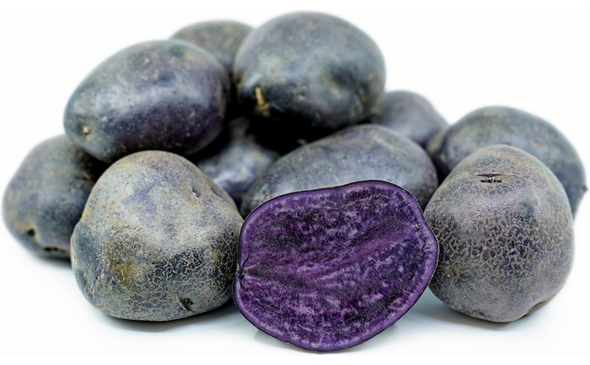 Purple Majesty