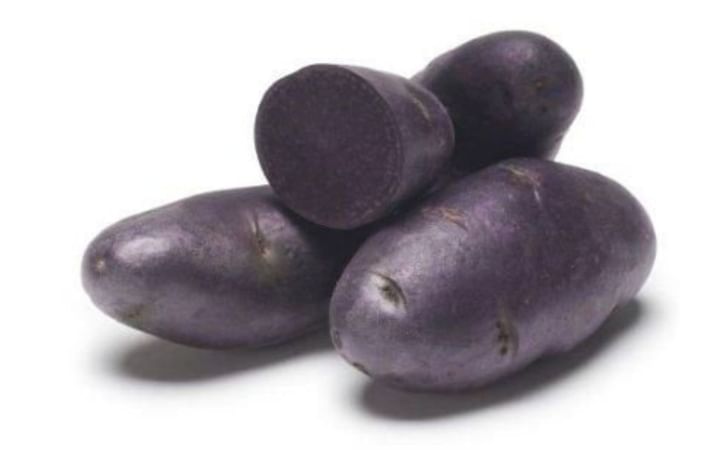 PURPLE PASSION PURPLE PASSION