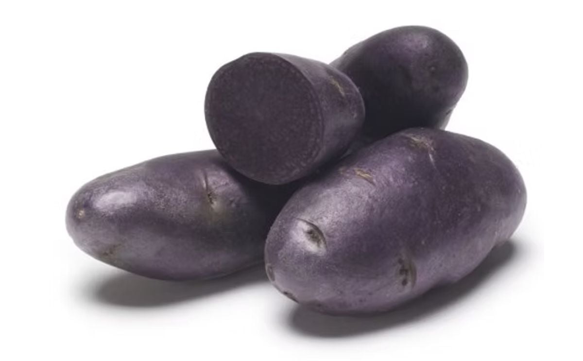 PURPLE PELISSE