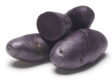 Purple Pelisse Purple Pelisse