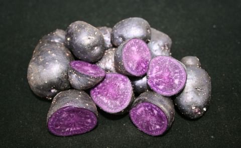 Scientists at The James Hutton Institute say discovery could help breed new colourful and improved potato varieties Scientists at The James Hutton Institute say discovery could help breed new colourful and improved potato varieties