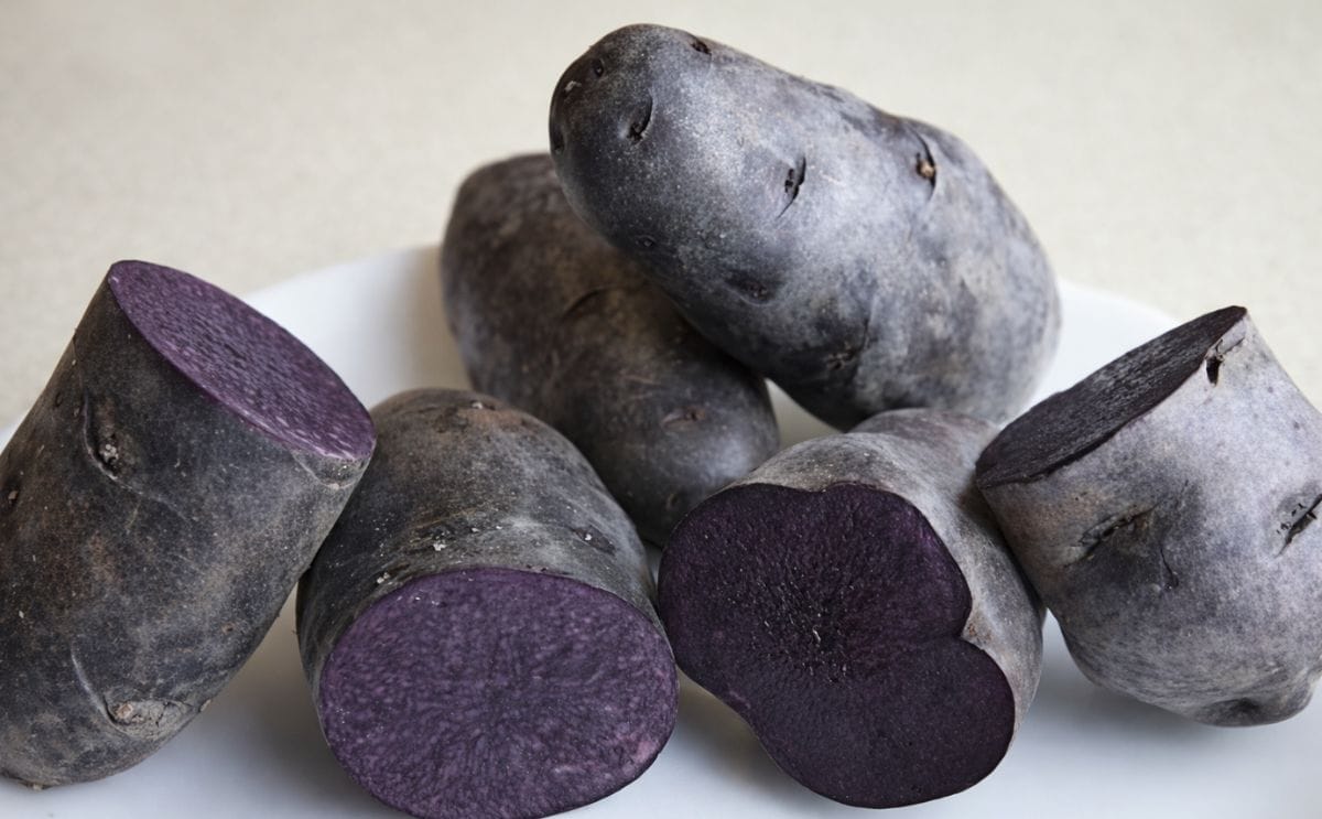 Purple potatoes: The deep purple colour of purple potatoes means it’s possible to make purple mash, chips and gnocchi. (Courtesy weekly Times / Andy Rogers)