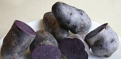 Australian farmers breed purple potato with the right colour ánd taste