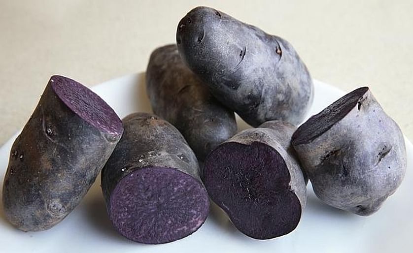 Purple potatoes: The deep purple colour of purple potatoes means it’s possible to make purple mash, chips and gnocchi. (Courtesy weekly Times / Andy Rogers)