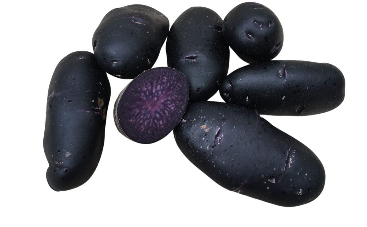 PURPLE RAIN