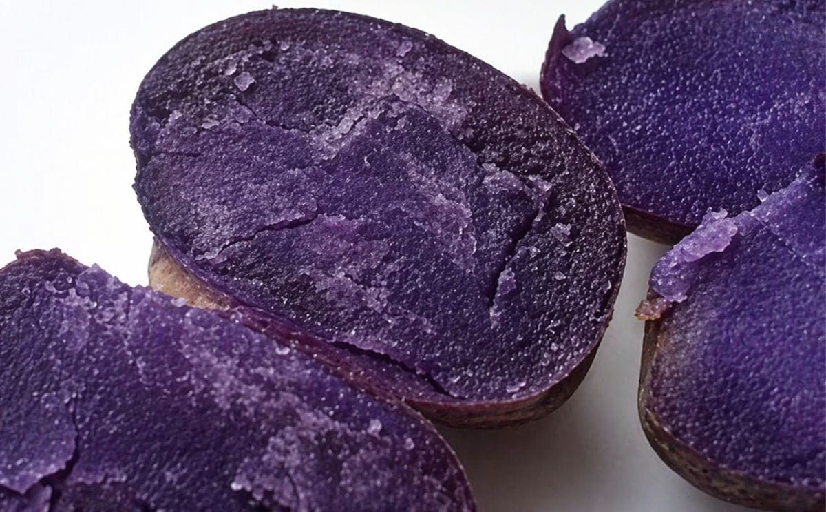 Científicos rusos obtienen una especie violeta de papa Científicos rusos obtienen una especie violeta de papa