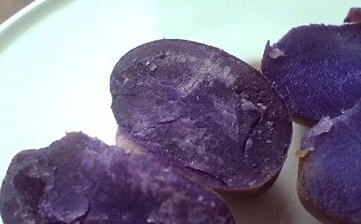 Científicos rusos obtienen una especie violeta de papa Científicos rusos obtienen una especie violeta de papa
