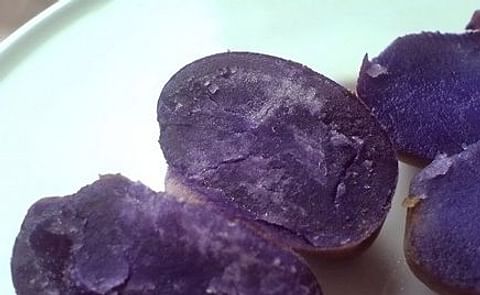 Científicos rusos obtienen una especie violeta de papa Científicos rusos obtienen una especie violeta de papa