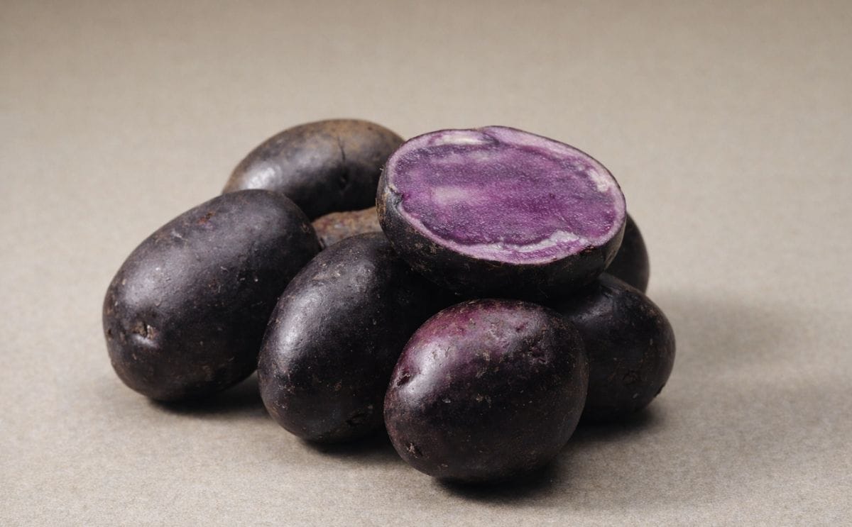 Colored Potatoes Shown To Decrease Oxidative Stress and Inflammatory Damage