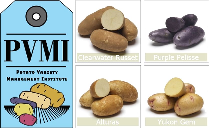 Potato Variety Management Institute: Logo and some of the developed potato varieties (image updated 2016) 