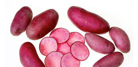 New Specialty potatoes: Delicious, Nutritious and Colorful