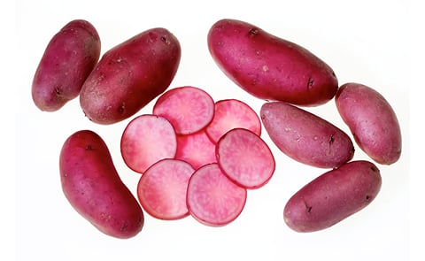 The potato variety Amarosa The potato variety Amarosa