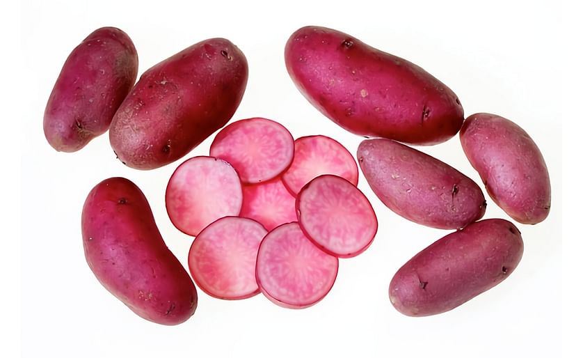 The potato variety Amarosa