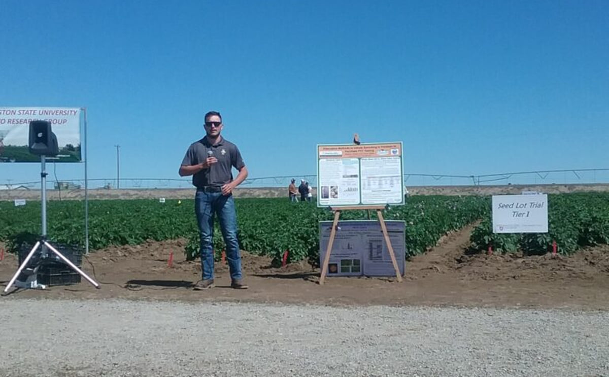 Battling potato viruses innovations for a healthier harvest Battling potato viruses innovations for a healthier harvest