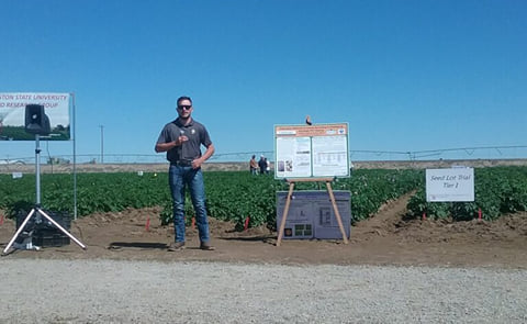 PVY demonstration plot trial in Maine on July 13, 2022, drew crowds of growers and crop consultans to see symptomps of three different straints of the virus in more than 20 potato cultivars. PVY demonstration plot trial in Maine on July 13, 2022, drew crowds of growers and crop consultans to see symptomps of three different straints of the virus in more than 20 potato cultivars.