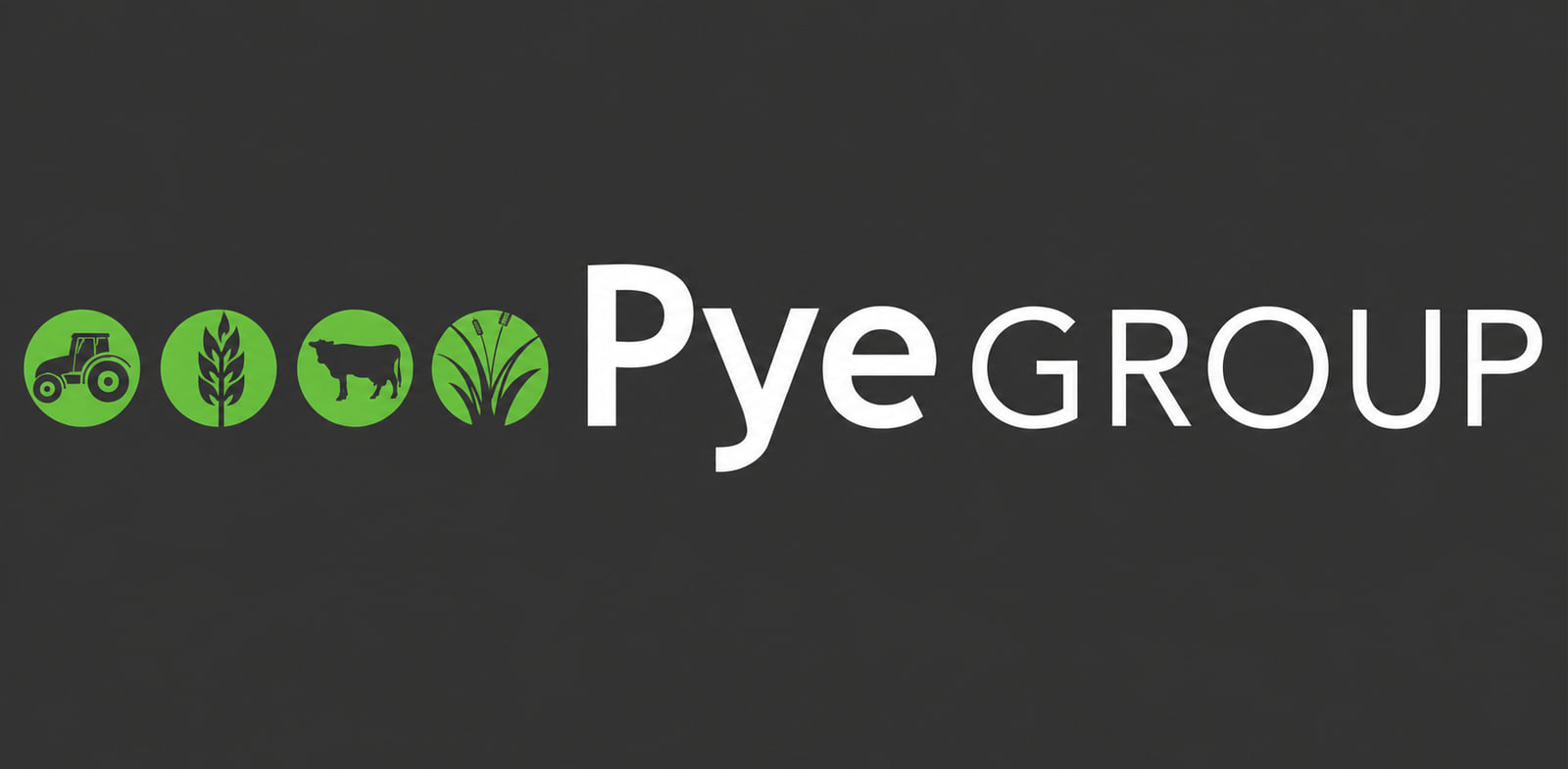 Pye Group