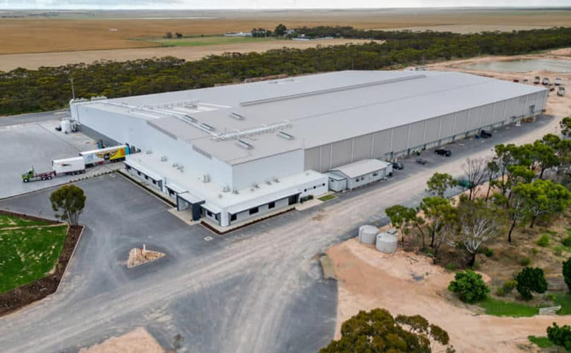 The Pye Group opens largest potato packing facility The Pye Group opens largest potato packing facility