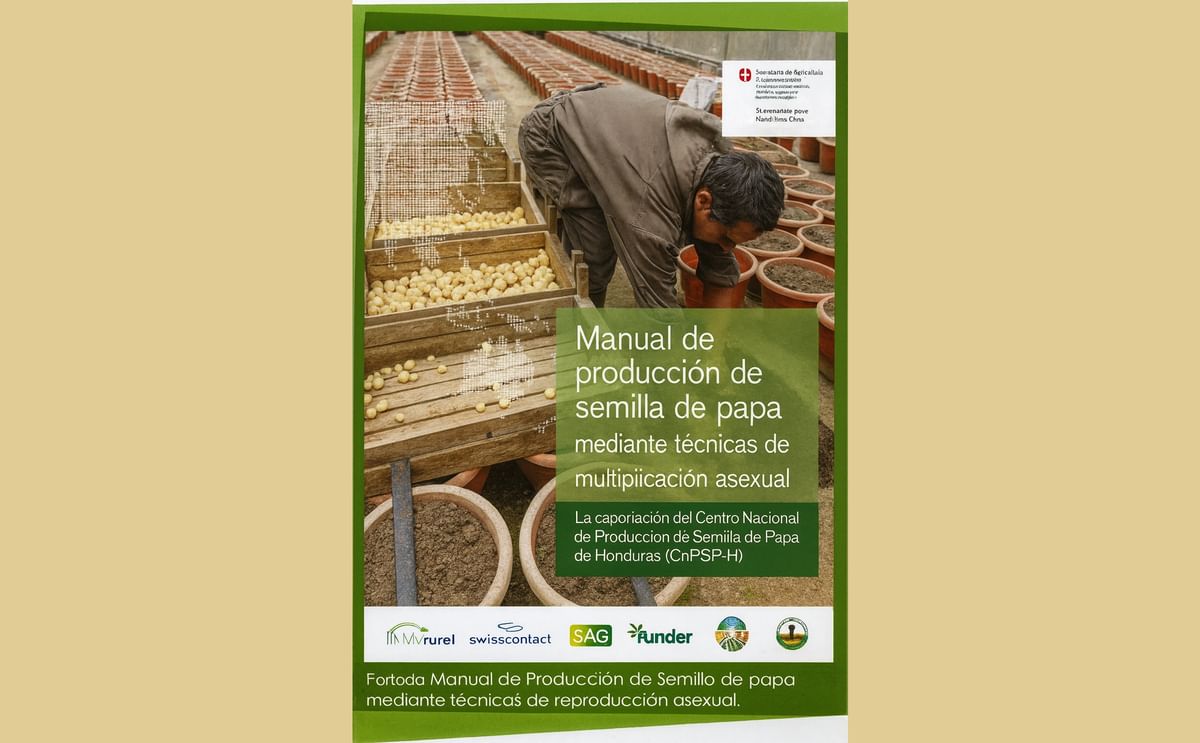 Programa cooperativo de Honduras y Nicaragua publica manual de producción de semilla de papa Programa cooperativo de Honduras y Nicaragua publica manual de producción de semilla de papa
