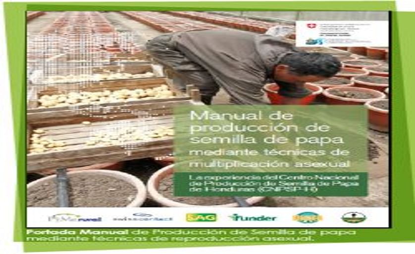 Programa cooperativo de Honduras y Nicaragua publica manual de producción de semilla de papa