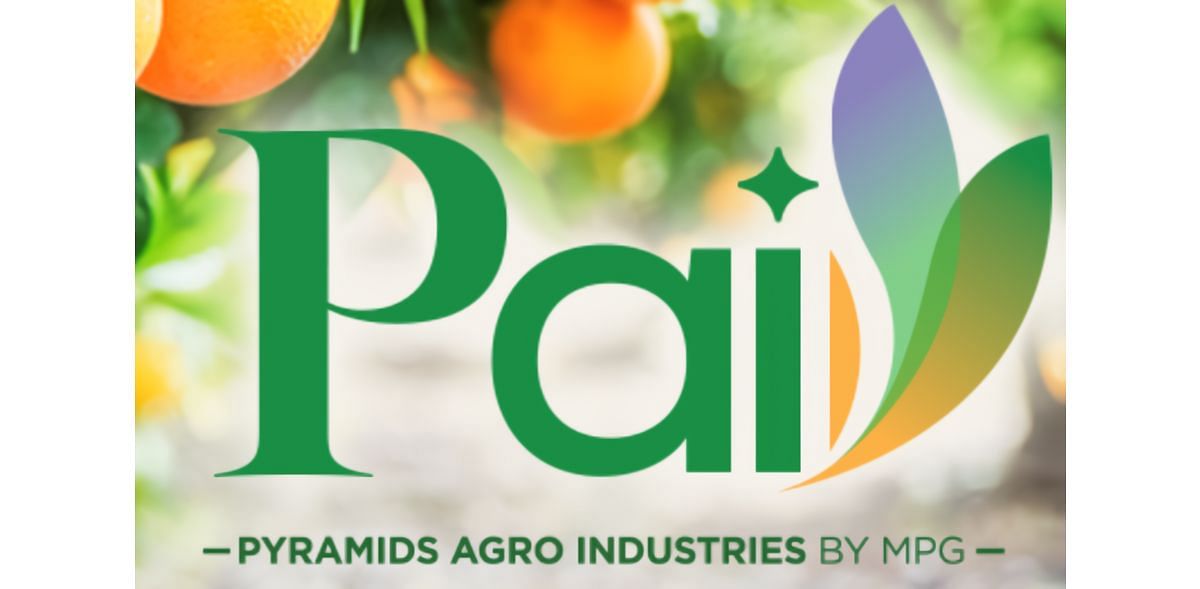 Pyramids for Agro-Industries (PAI)