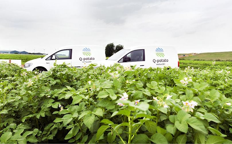 Q-potatoes car in the potato fielda