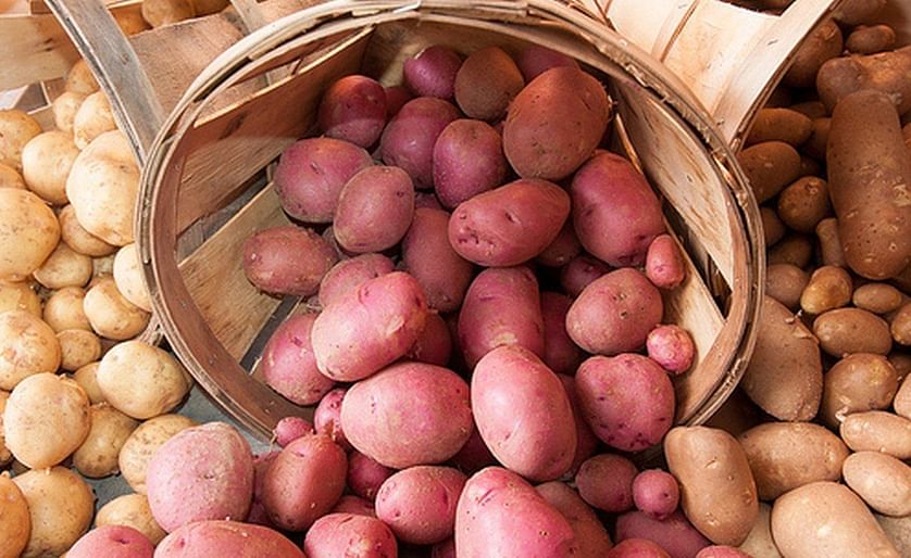 Q1 potato sales at retail see increases compared to 2019