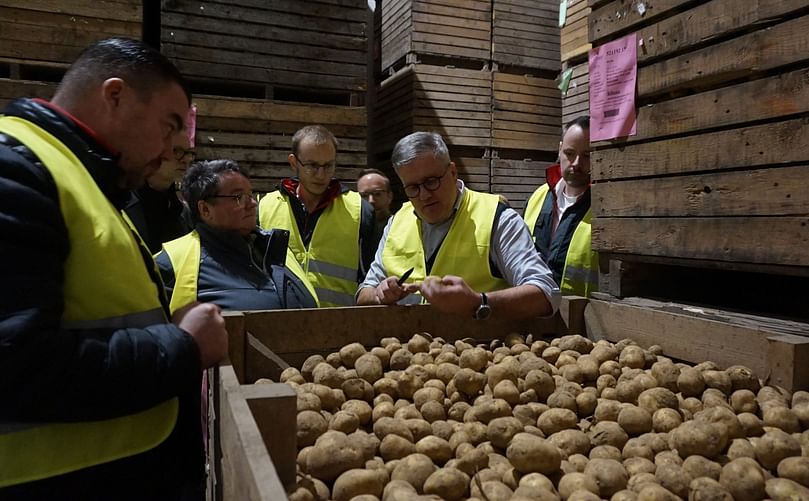 QS specialists from Kaufland's logistics centers participate in a hands-on training session hosted by Wild GmbH in Eppingen, Germany, organized by the German Potato Trade Association (DKHV), to ensure the highest quality standards for fresh potatoes