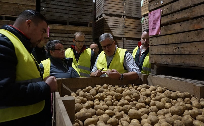 QS specialists from Kaufland's logistics centers participate in a hands-on training session hosted by Wild GmbH in Eppingen, Germany, organized by the German Potato Trade Association (DKHV), to ensure the highest quality standards for fresh potatoes QS specialists from Kaufland's logistics centers participate in a hands-on training session hosted by Wild GmbH in Eppingen, Germany, organized by the German Potato Trade Association (DKHV), to ensure the highest quality standards for fresh potatoes