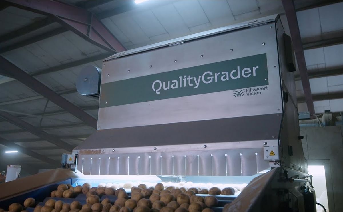 Flikweert Vision’s QualityGrader ensures precision sorting by detecting scab, damage, and deformities—delivering top-grade seed potatoes with less labour at Wellhill Farm. Flikweert Vision’s QualityGrader ensures precision sorting by detecting scab, damage, and deformities—delivering top-grade seed potatoes with less labour at Wellhill Farm.